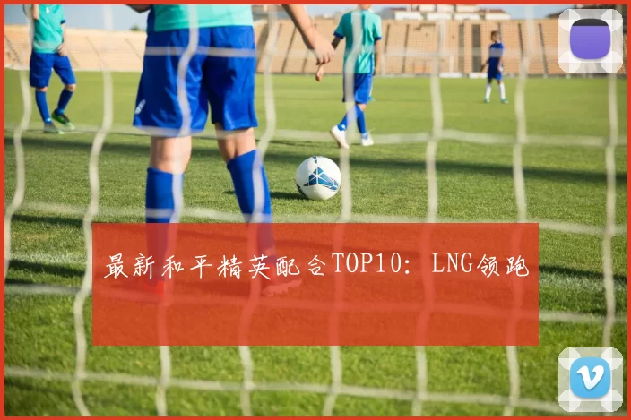 最新和平精英配合TOP10：LNG领跑