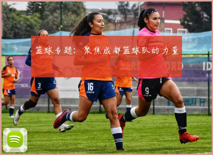 篮球专题：聚焦成都篮球队的力量