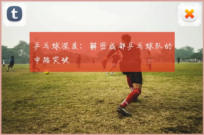 乒乓球深度：解密成都乒乓球队的中路突破